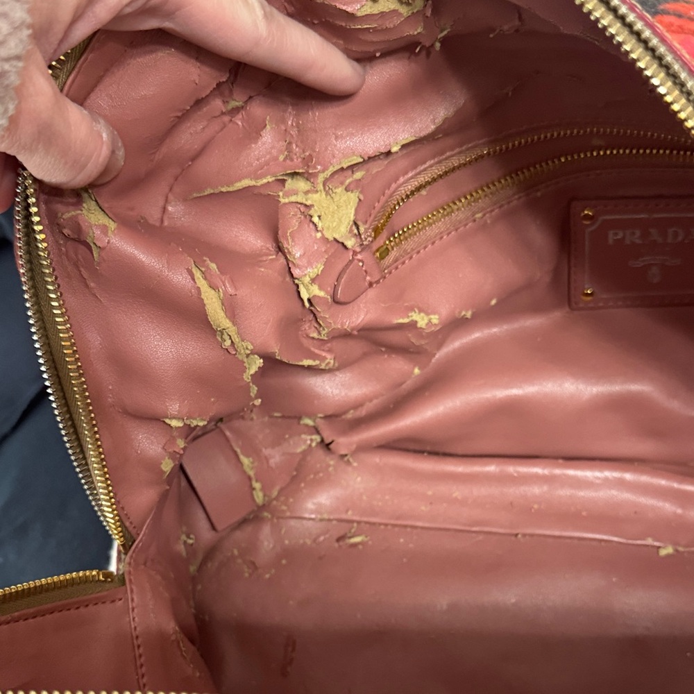 Prada Fairy Bag in Peonia James Jean Collaboration - Picture 15 of 16